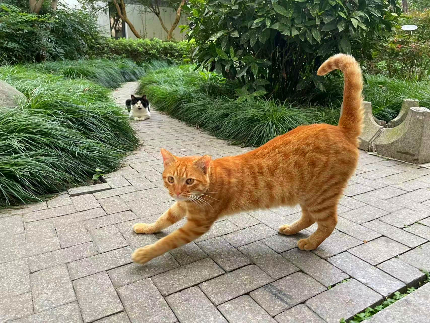 “”