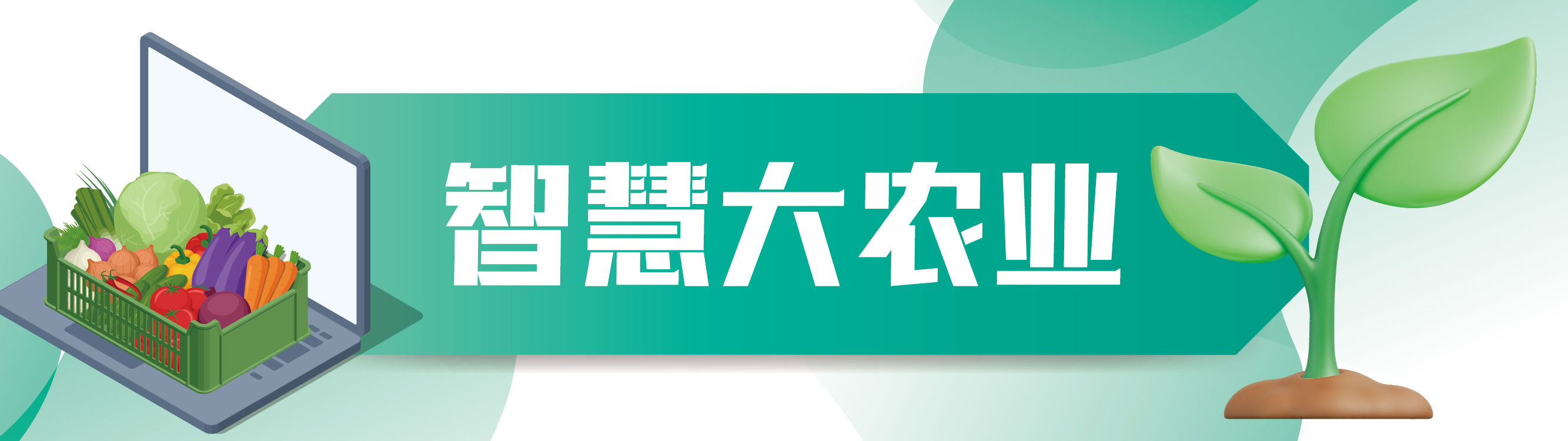 创业营13期