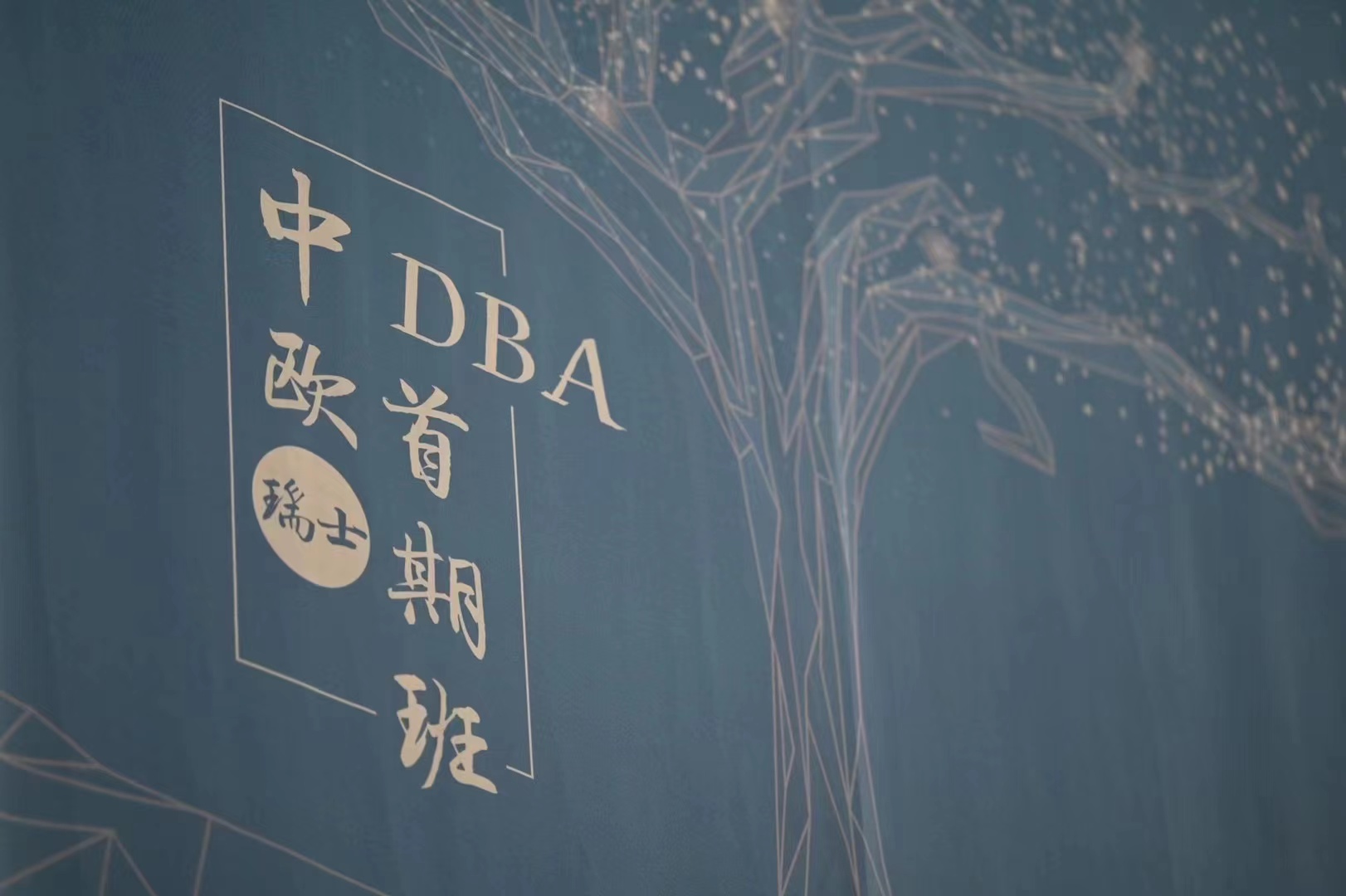 DBA首期班